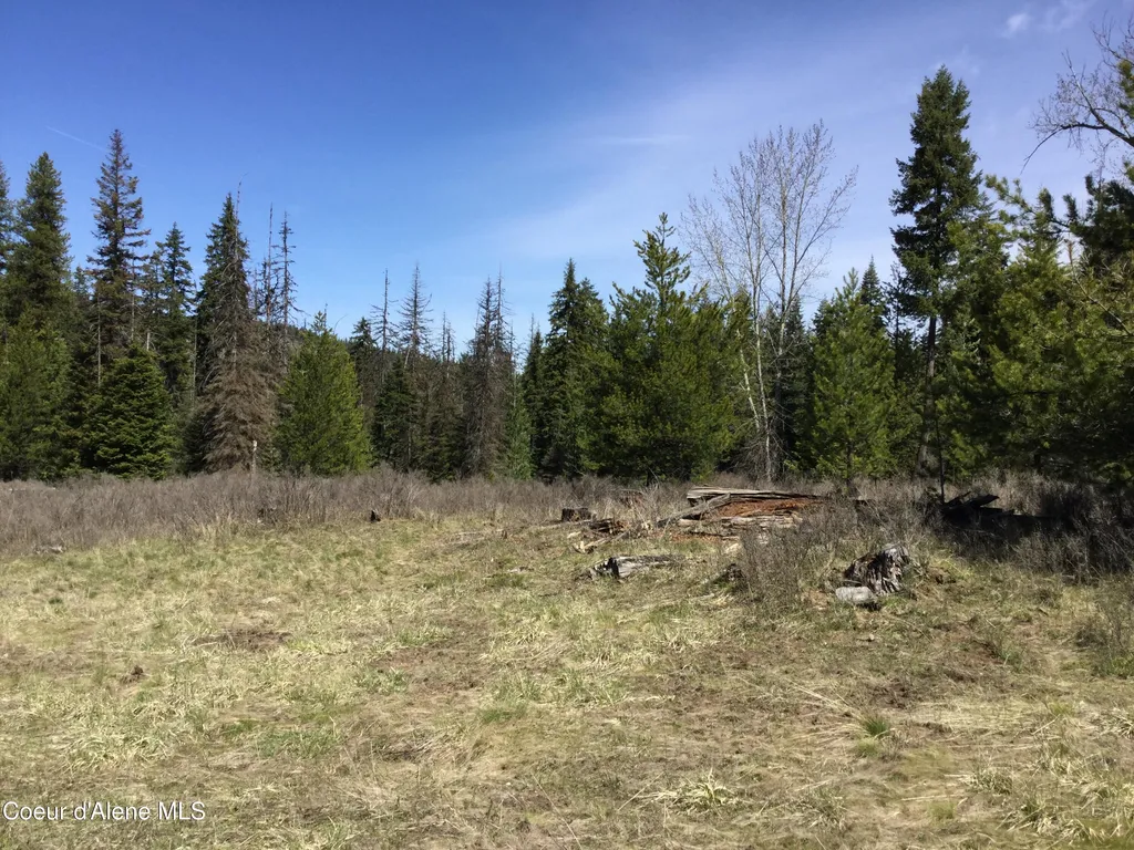 Tyson Creek Road Santa ID 83866