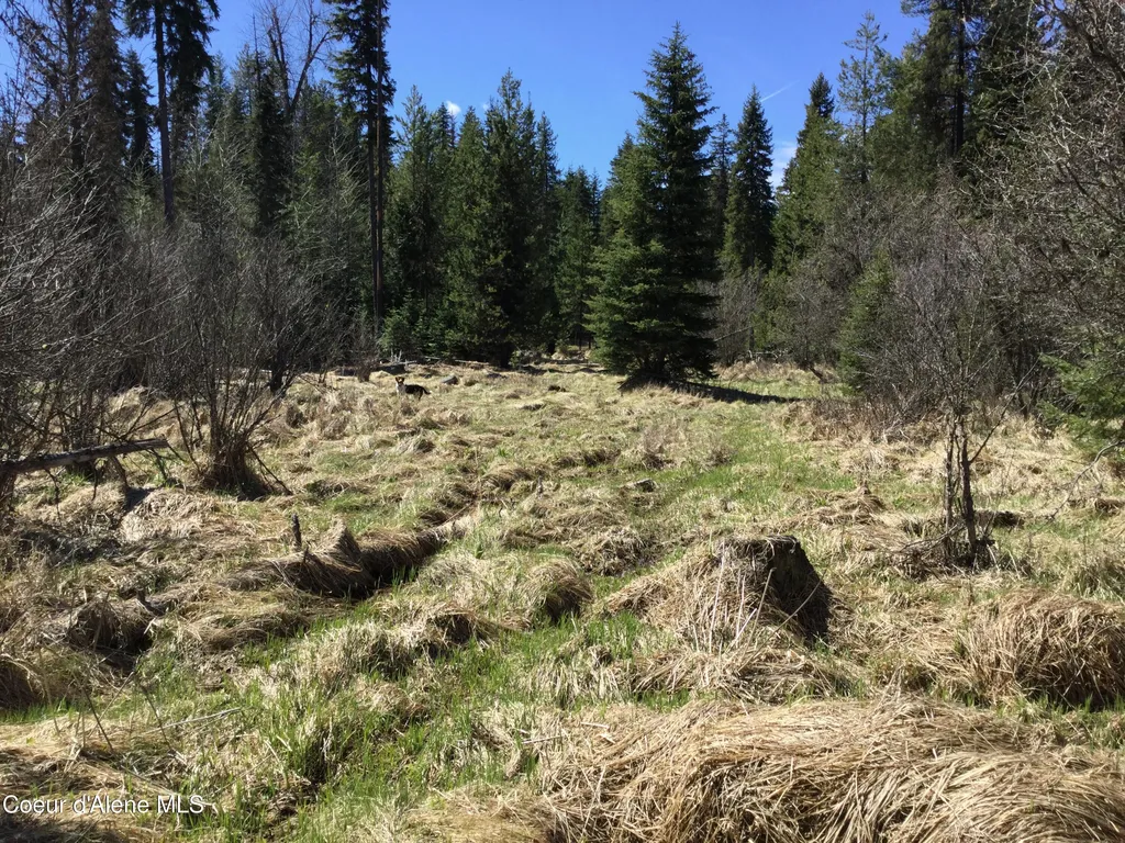 Tyson Creek Road Santa ID 83866