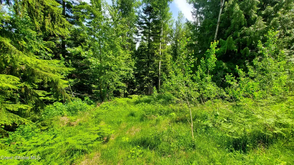 Nka Baum Road St. Maries ID 83861