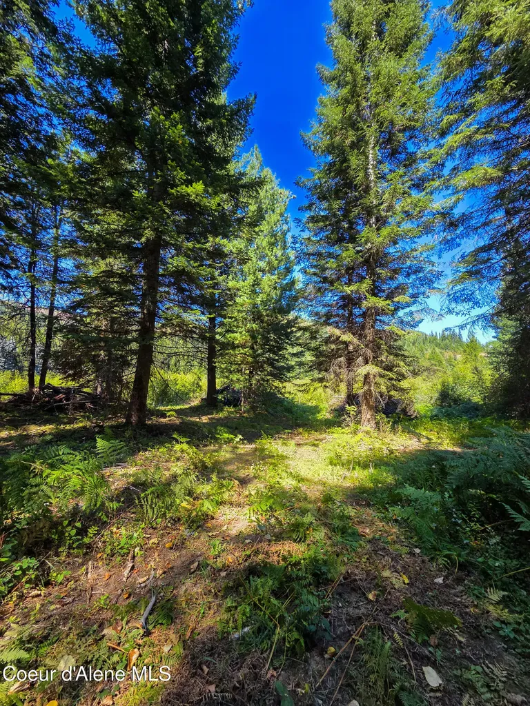 Nna Pup Paw Trail Priest River ID 83856