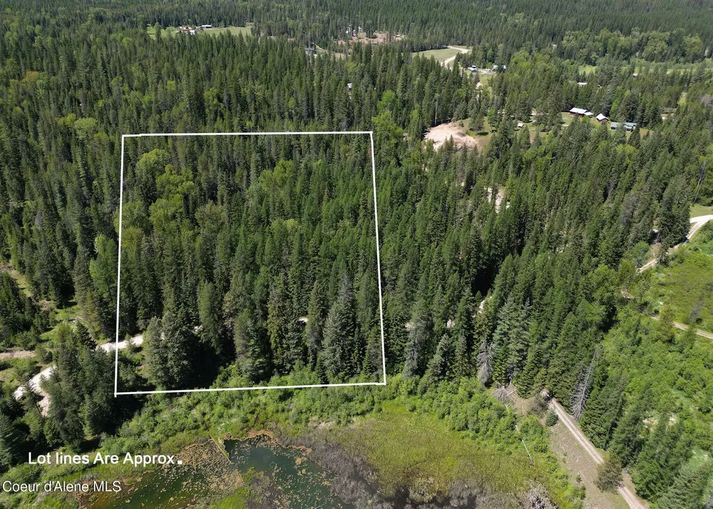 Nna Pup Paw Trail Priest River ID 83856