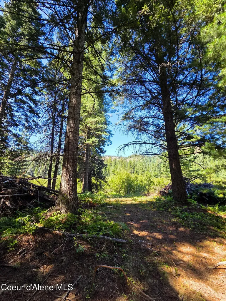 Nna Pup Paw Trail Priest River ID 83856