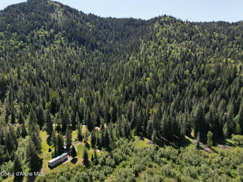 Nna Pup Paw Trail Priest River ID 83856