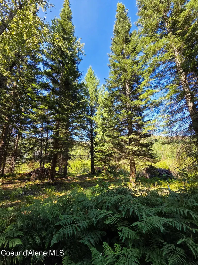Nna Pup Paw Trail Priest River ID 83856