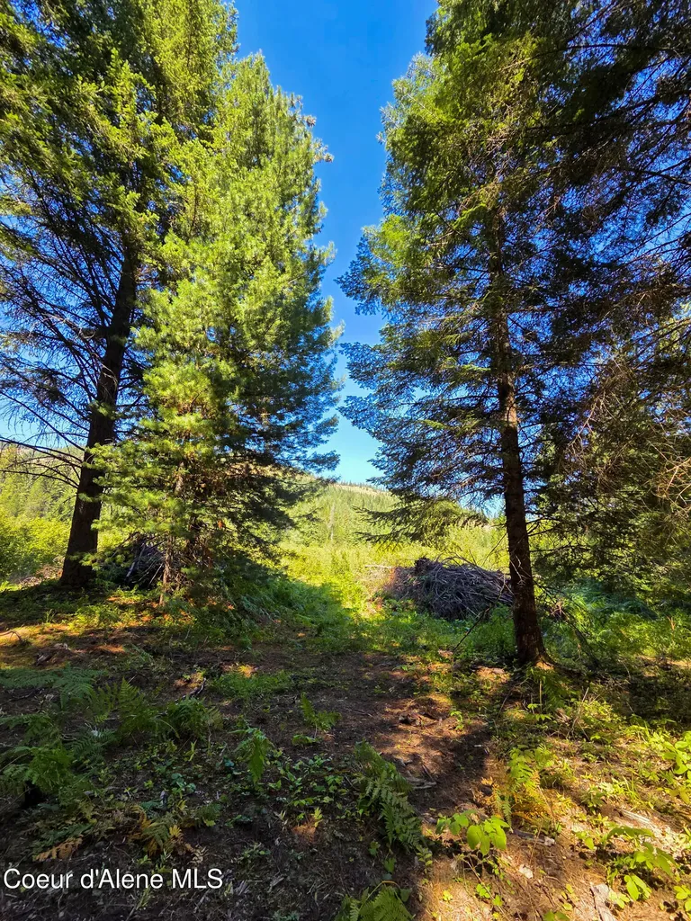 Nna Pup Paw Trail Priest River ID 83856