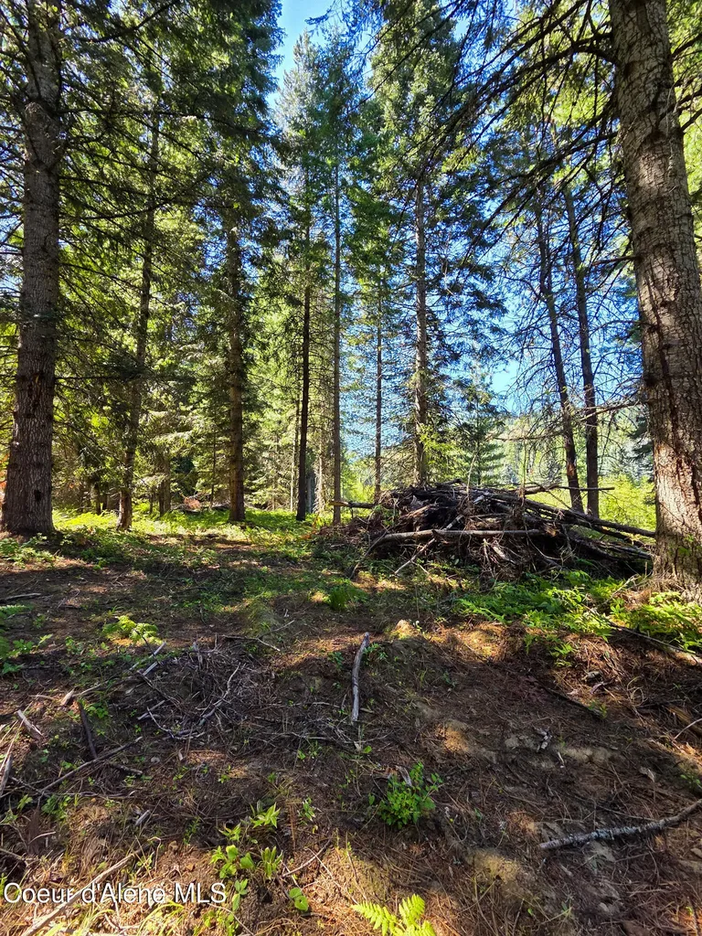Nna Pup Paw Trail Priest River ID 83856