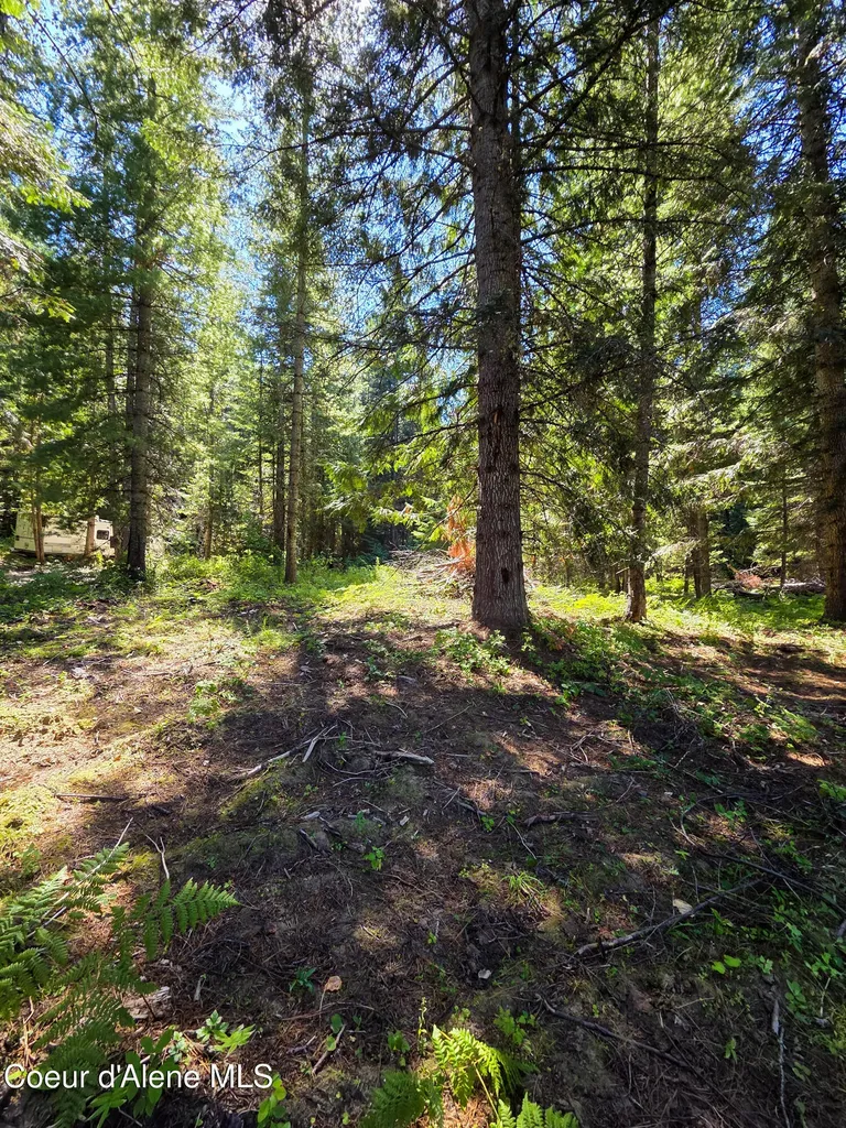 Nna Pup Paw Trail Priest River ID 83856