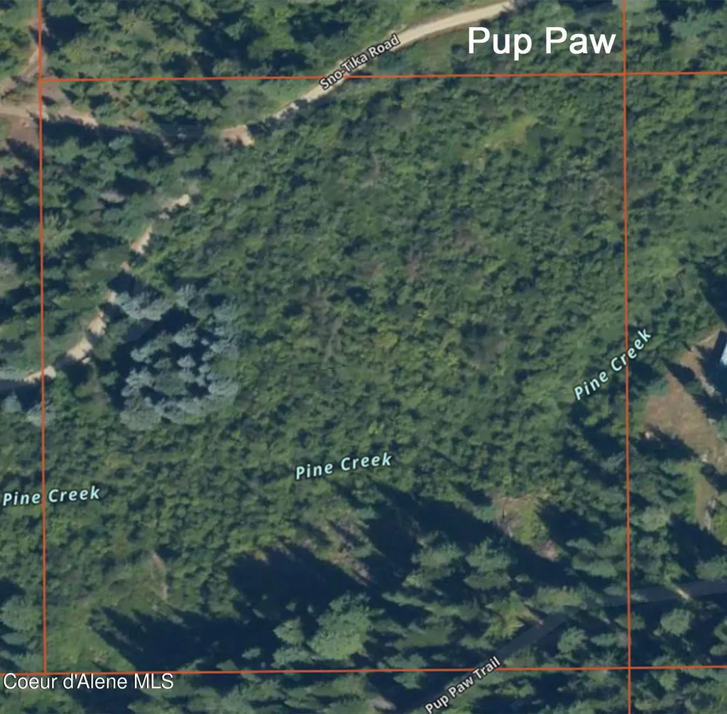 Nna Pup Paw Trail Priest River ID 83856