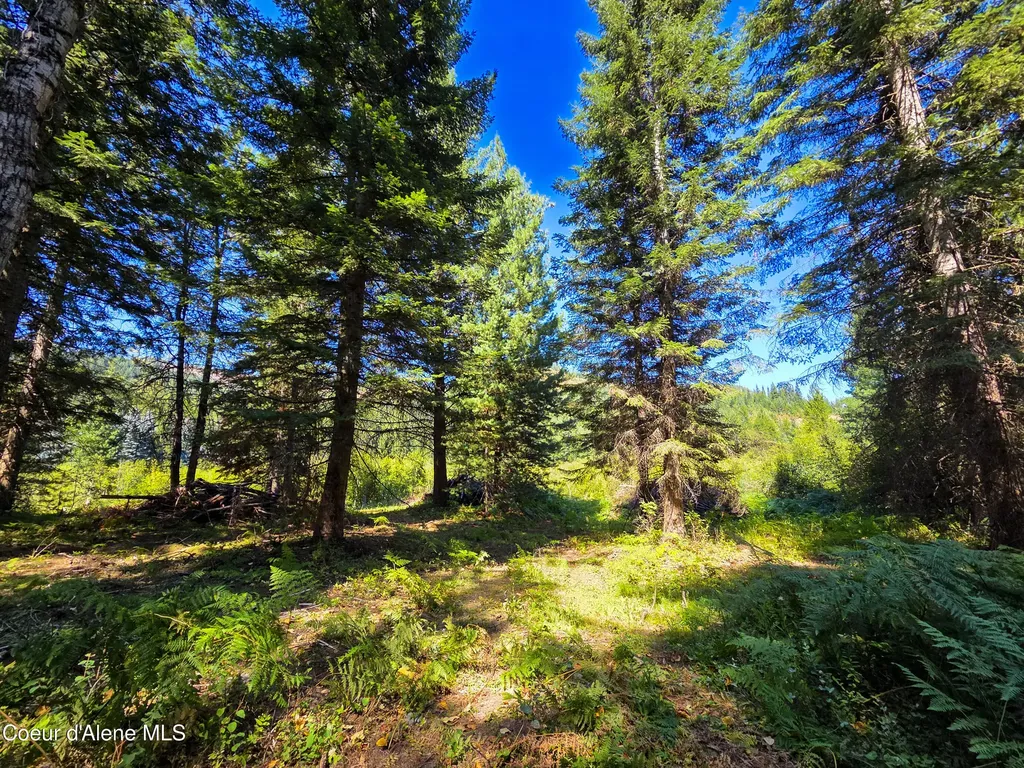 Nna Pup Paw Trail Priest River ID 83856