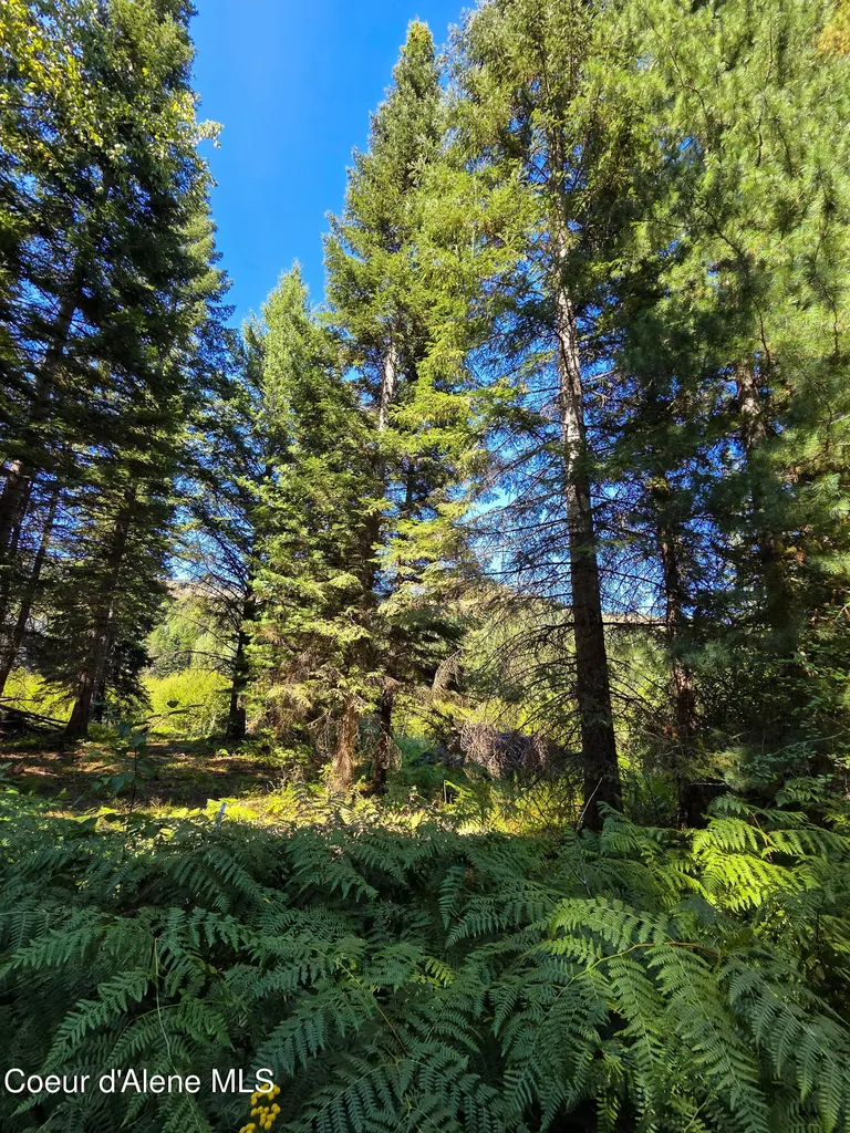 Nna Pup Paw Trail Priest River ID 83856