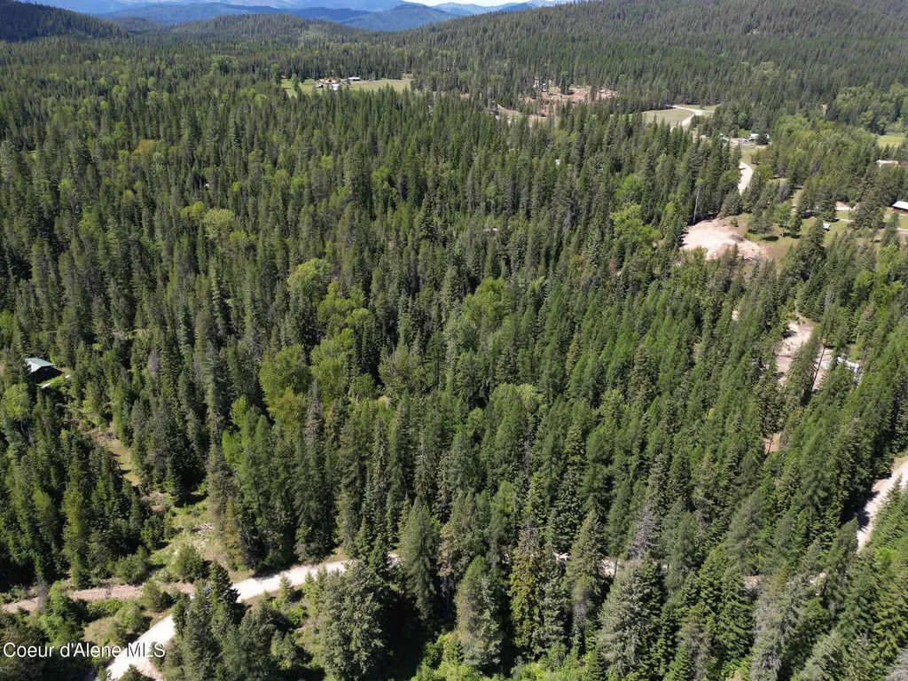 Nna Pup Paw Trail Priest River ID 83856