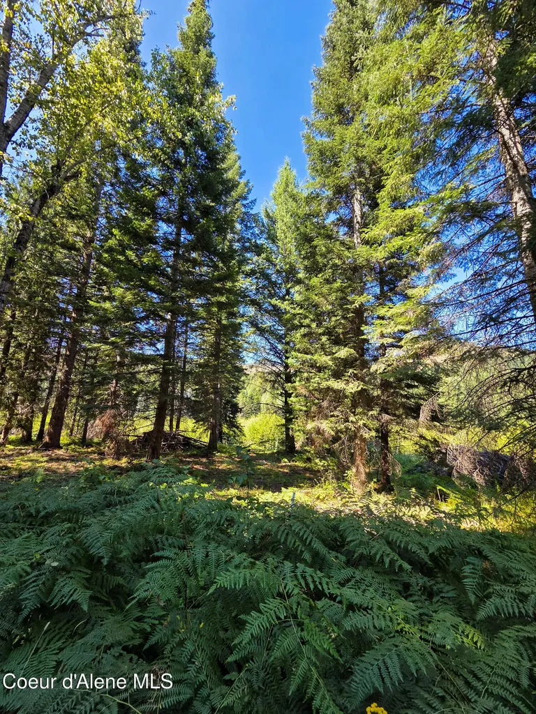 Nna Pup Paw Trail Priest River ID 83856