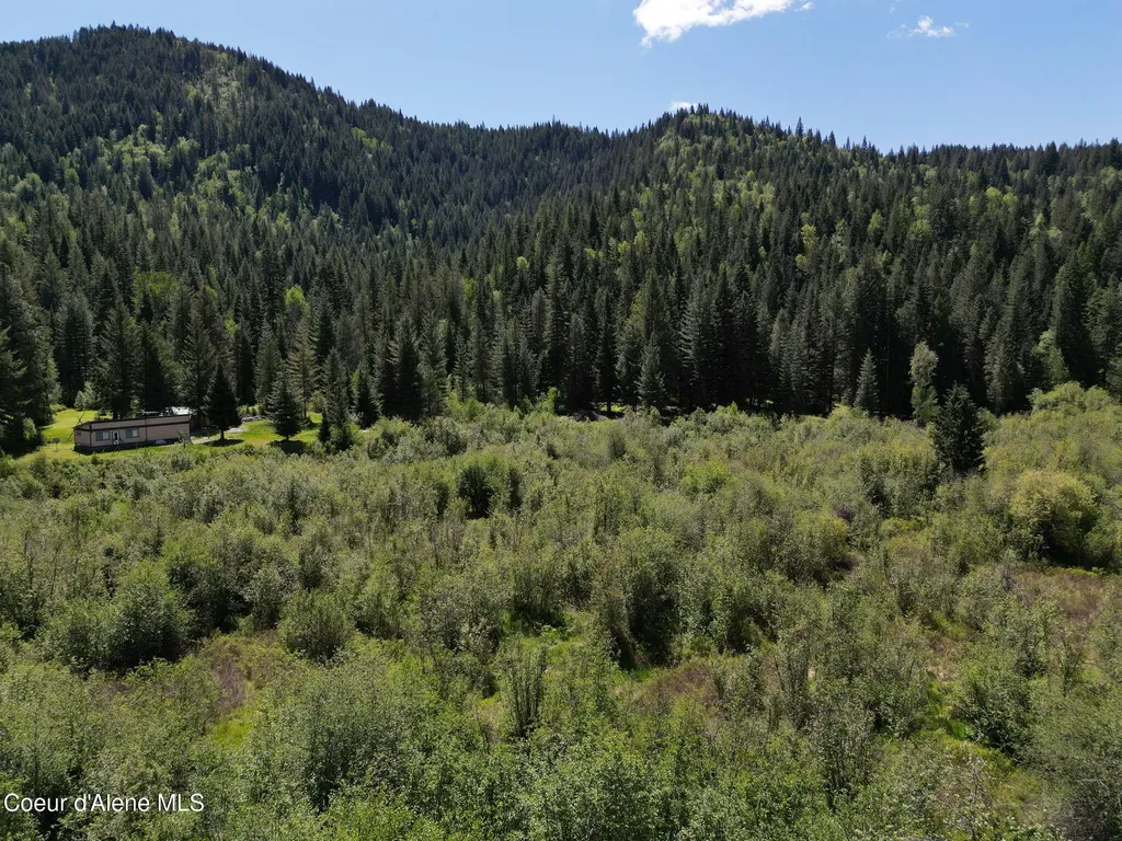 Nna Pup Paw Trail Priest River ID 83856