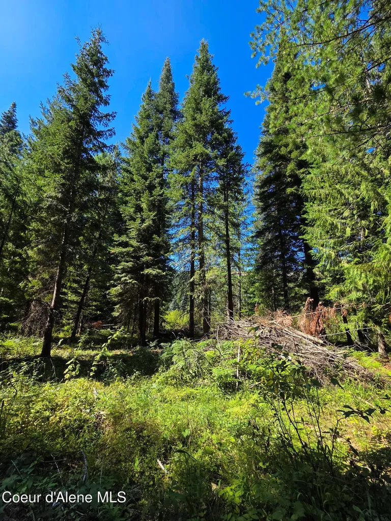Nna Pup Paw Trail Priest River ID 83856