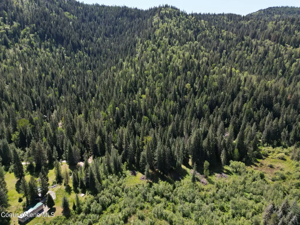 Nna Pup Paw Trail Priest River ID 83856