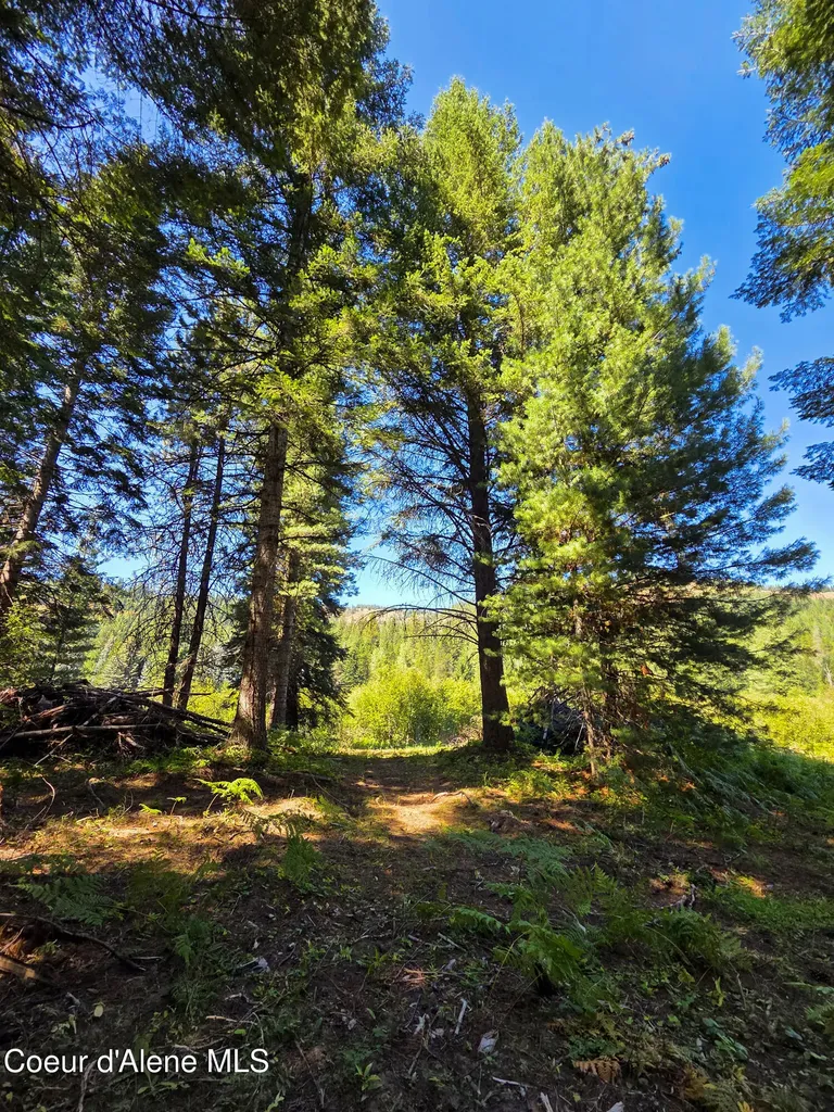 Nna Pup Paw Trail Priest River ID 83856