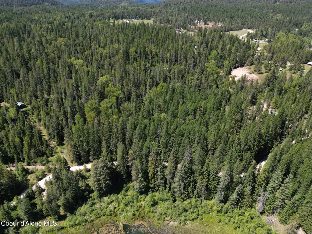 Nna Pup Paw Trail Priest River ID 83856