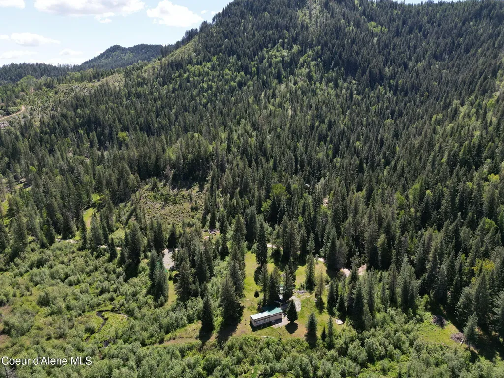 Nna Pup Paw Trail Priest River ID 83856