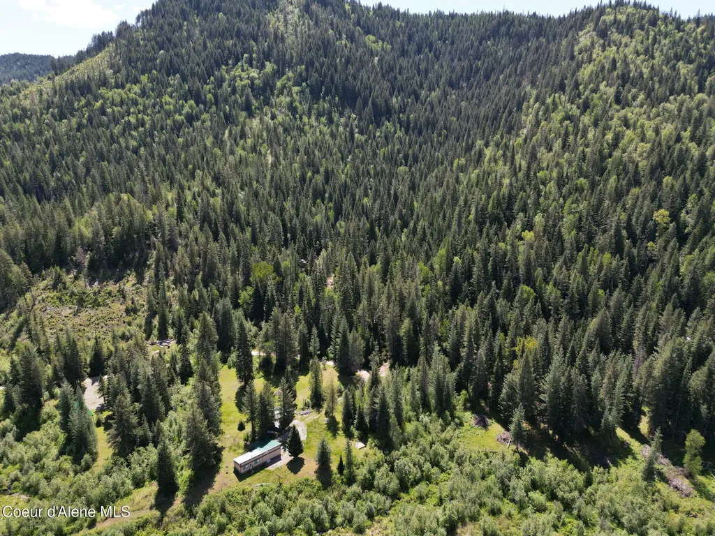 Nna Pup Paw Trail Priest River ID 83856