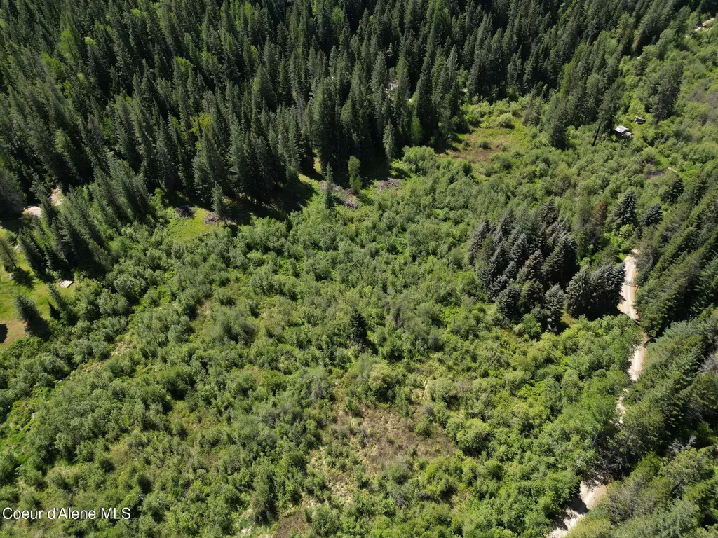 Nna Pup Paw Trail Priest River ID 83856