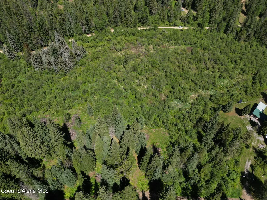Nna Pup Paw Trail Priest River ID 83856