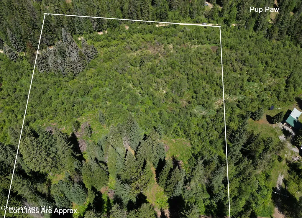 Nna Pup Paw Trail Priest River ID 83856