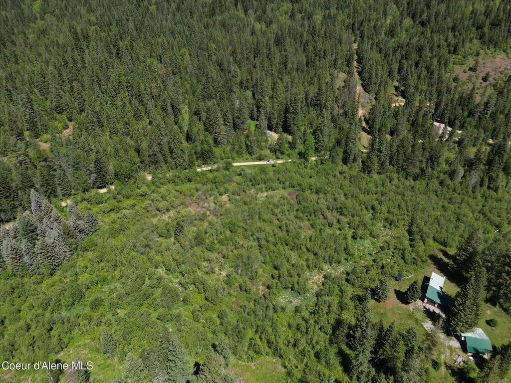 Nna Pup Paw Trail Priest River ID 83856