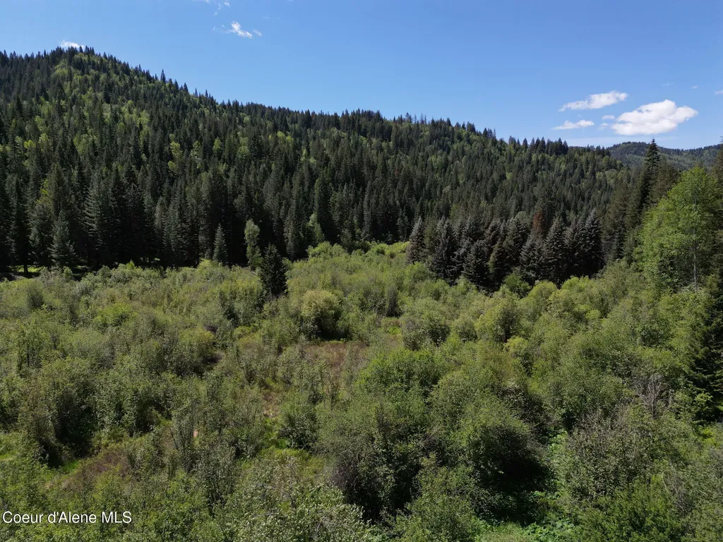 Nna Pup Paw Trail Priest River ID 83856