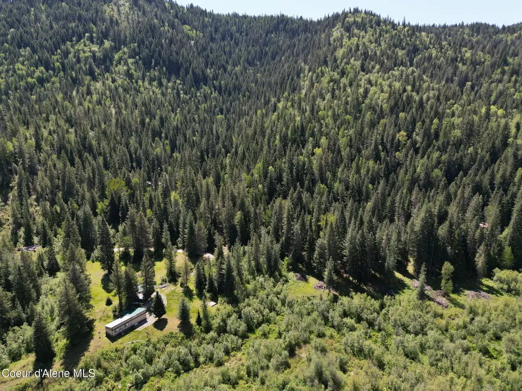 Nna Pup Paw Trail Priest River ID 83856