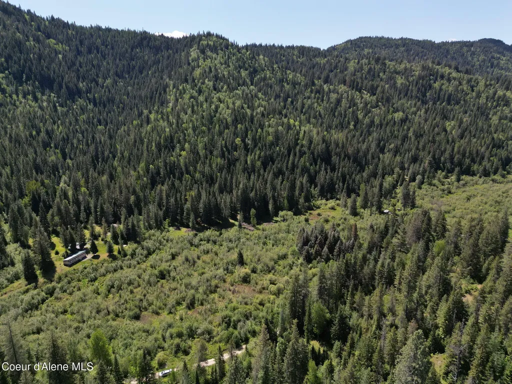 Nna Pup Paw Trail Priest River ID 83856
