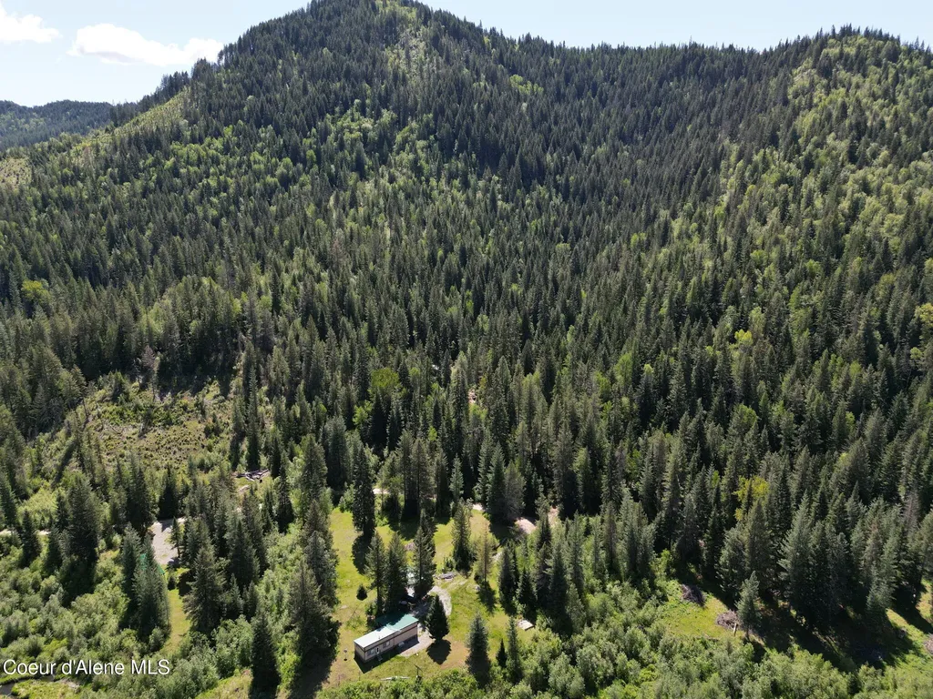 Nna Pup Paw Trail Priest River ID 83856