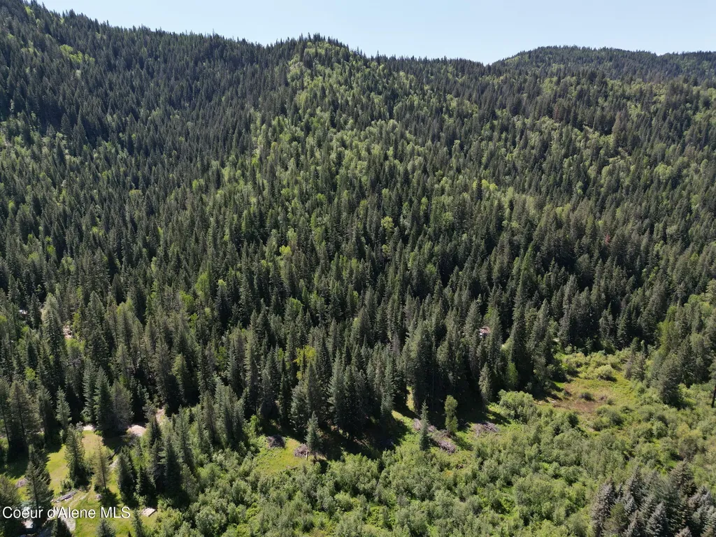 Nna Pup Paw Trail Priest River ID 83856