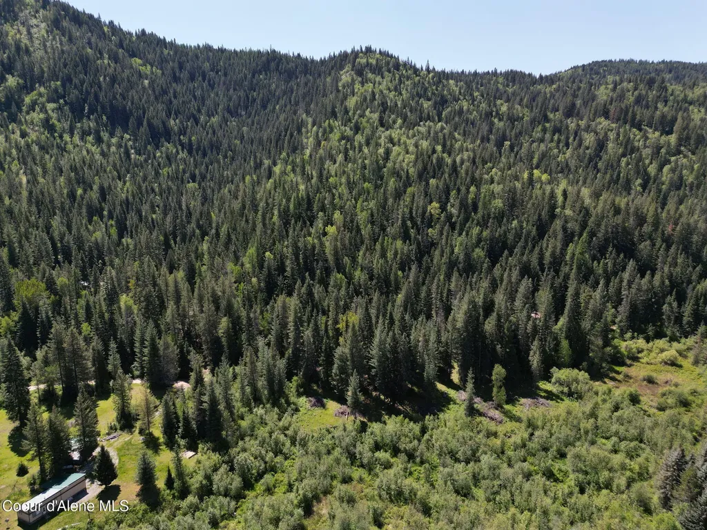 Nna Pup Paw Trail Priest River ID 83856