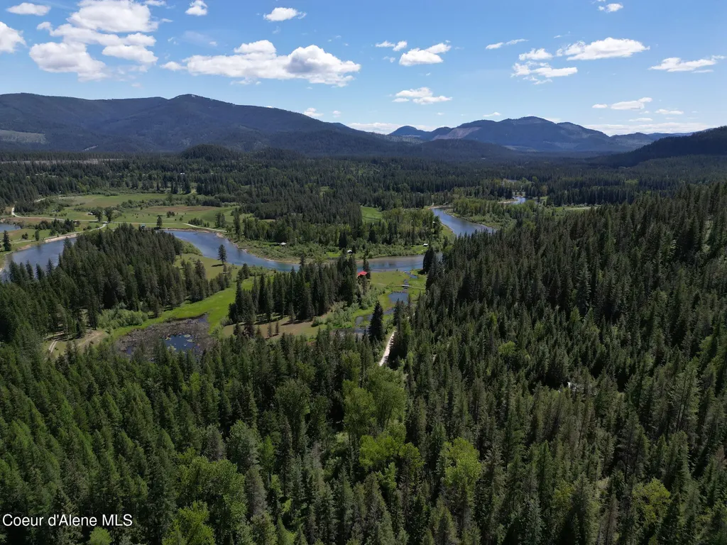 Nna Pup Paw Trail Priest River ID 83856