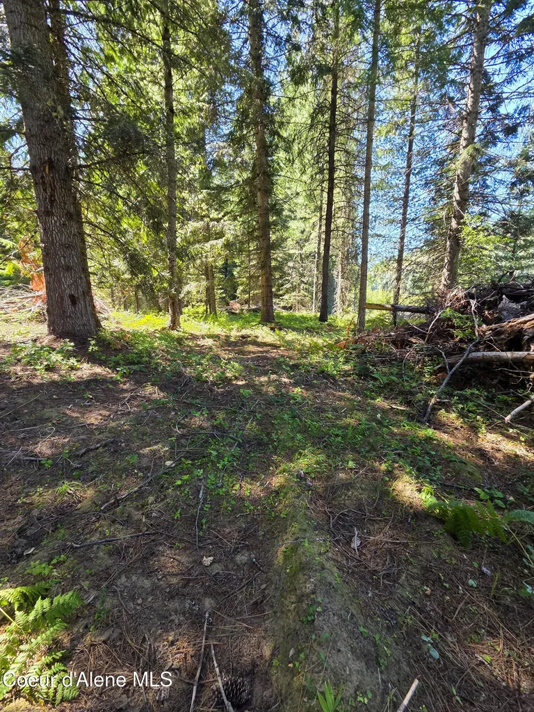 Nna Pup Paw Trail Priest River ID 83856