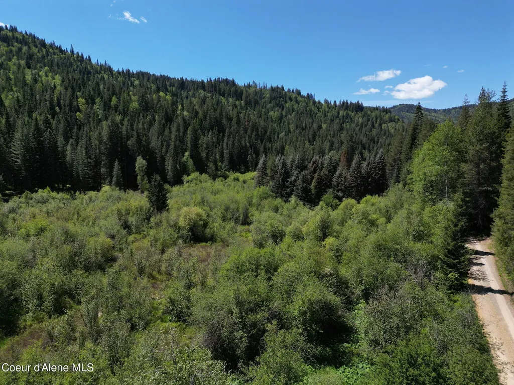 Nna Pup Paw Trail Priest River ID 83856