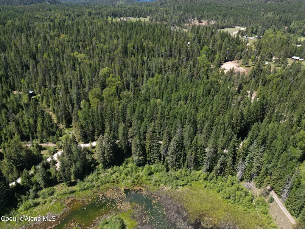 Nna Pup Paw Trail Priest River ID 83856