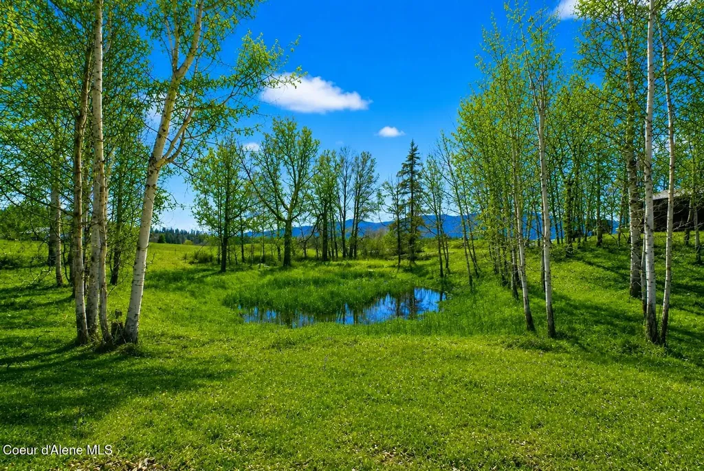 1297 Eastside Road Priest River ID 83856