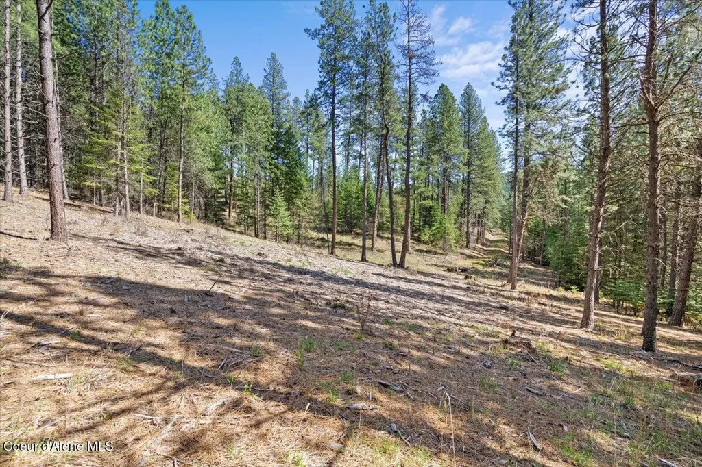 L1B1 Nka Highway 97 Harrison ID 83833