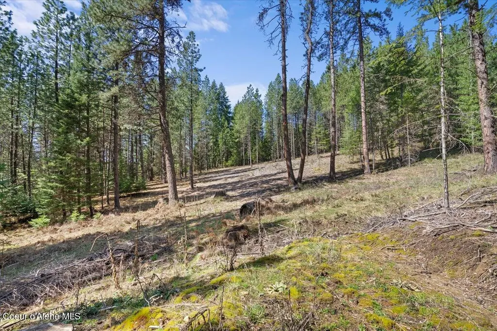 L1B1 Nka Highway 97 Harrison ID 83833