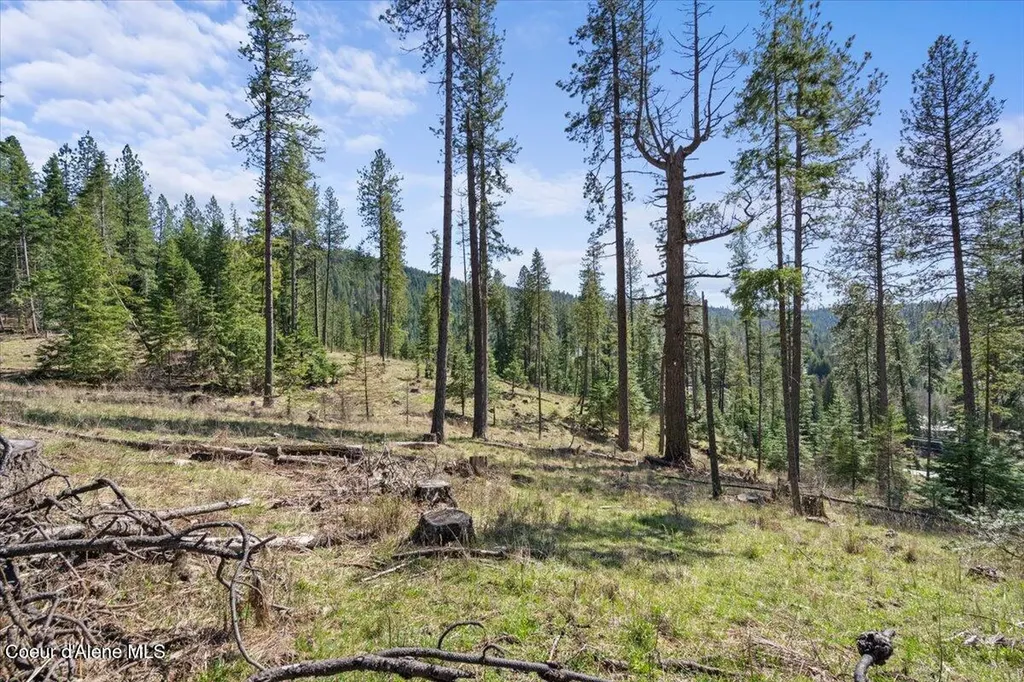 L1B1 Nka Highway 97 Harrison ID 83833