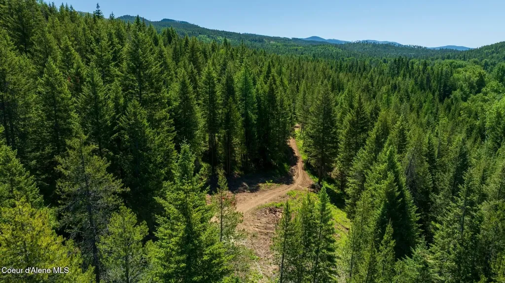 Tbd Kreiger Creek Road Lot 1 Careywood ID 83809