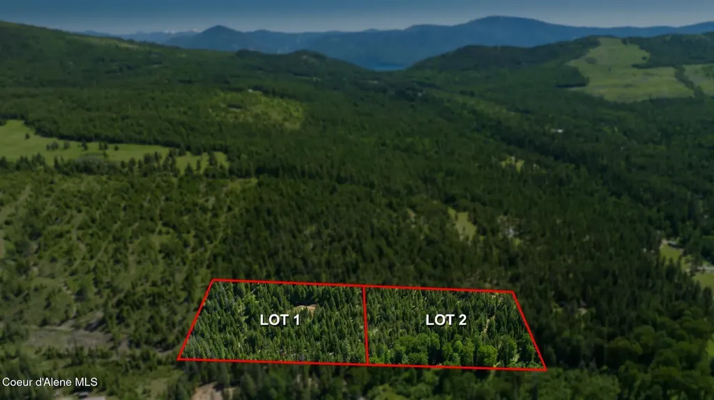 Tbd Kreiger Creek Road Lot 1 Careywood ID 83809