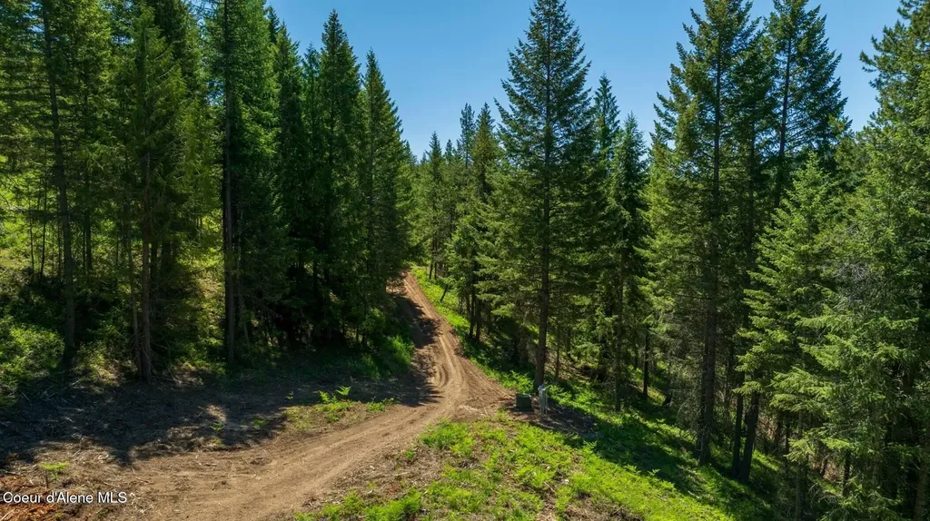 Tbd Kreiger Creek Road Lot 1 Careywood ID 83809