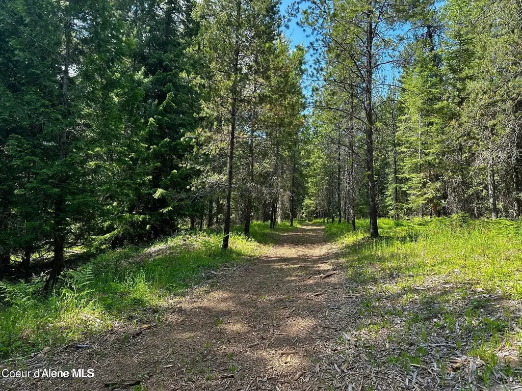 Tbd Kreiger Creek Road Lot 1 Careywood ID 83809
