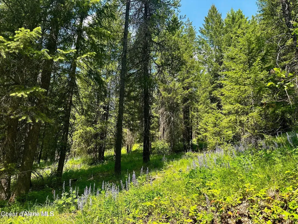 Tbd Kreiger Creek Road Lot 1 Careywood ID 83809