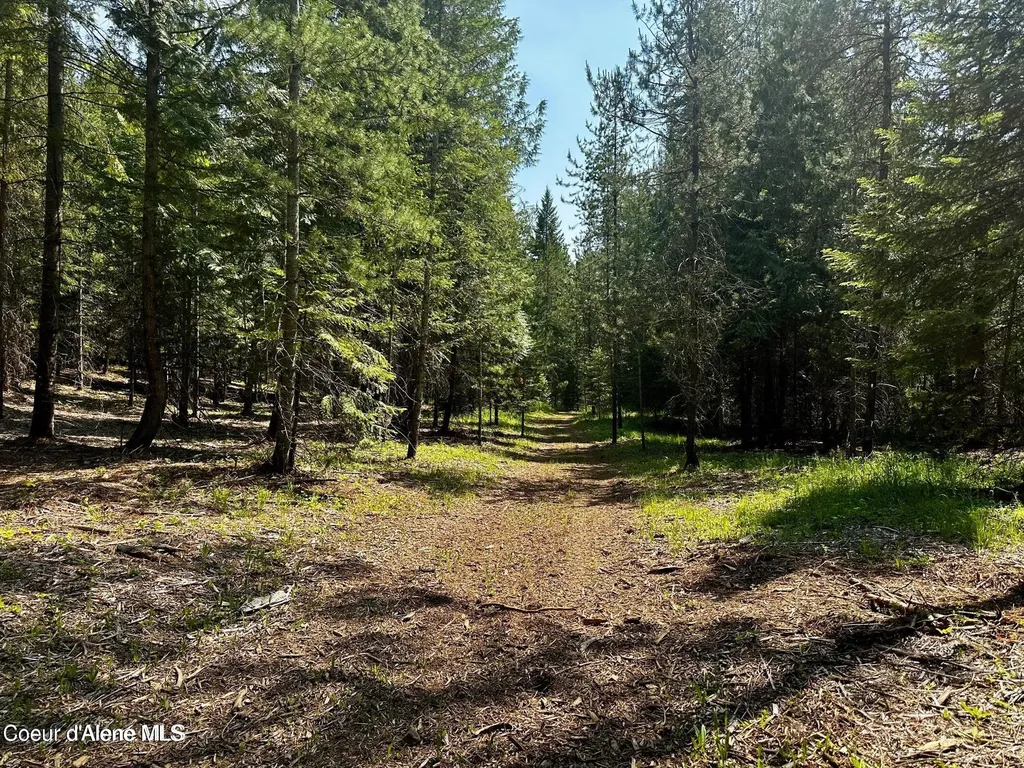 Tbd Kreiger Creek Road Lot 1 Careywood ID 83809