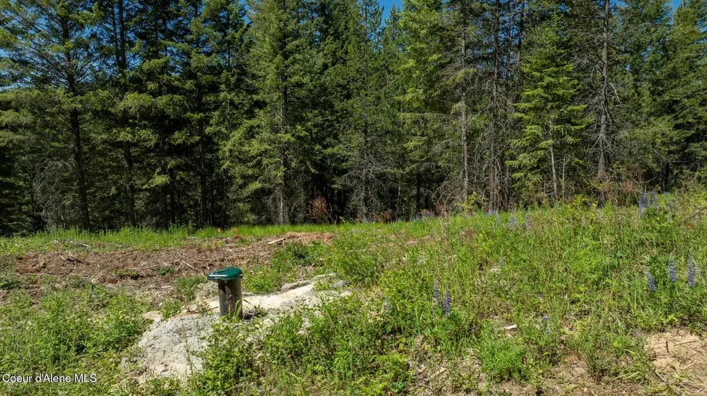 Tbd Kreiger Creek Road Lot 1 Careywood ID 83809