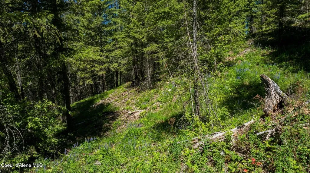 Tbd Kreiger Creek Road Lot 1 Careywood ID 83809