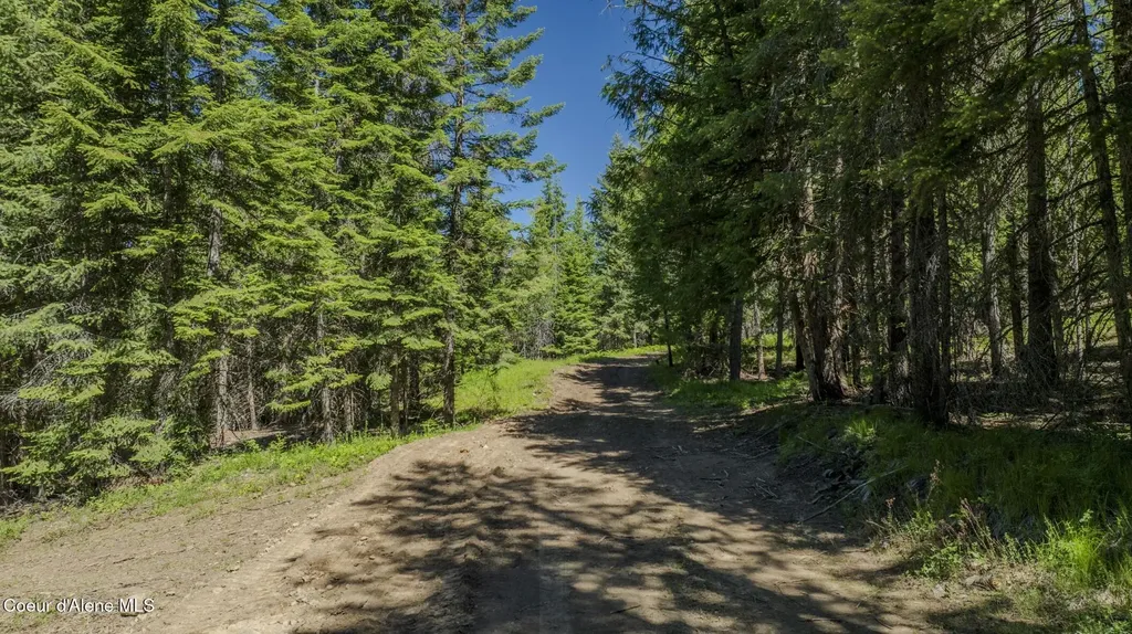 Tbd Kreiger Creek Road Lot 2 Careywood ID 83809